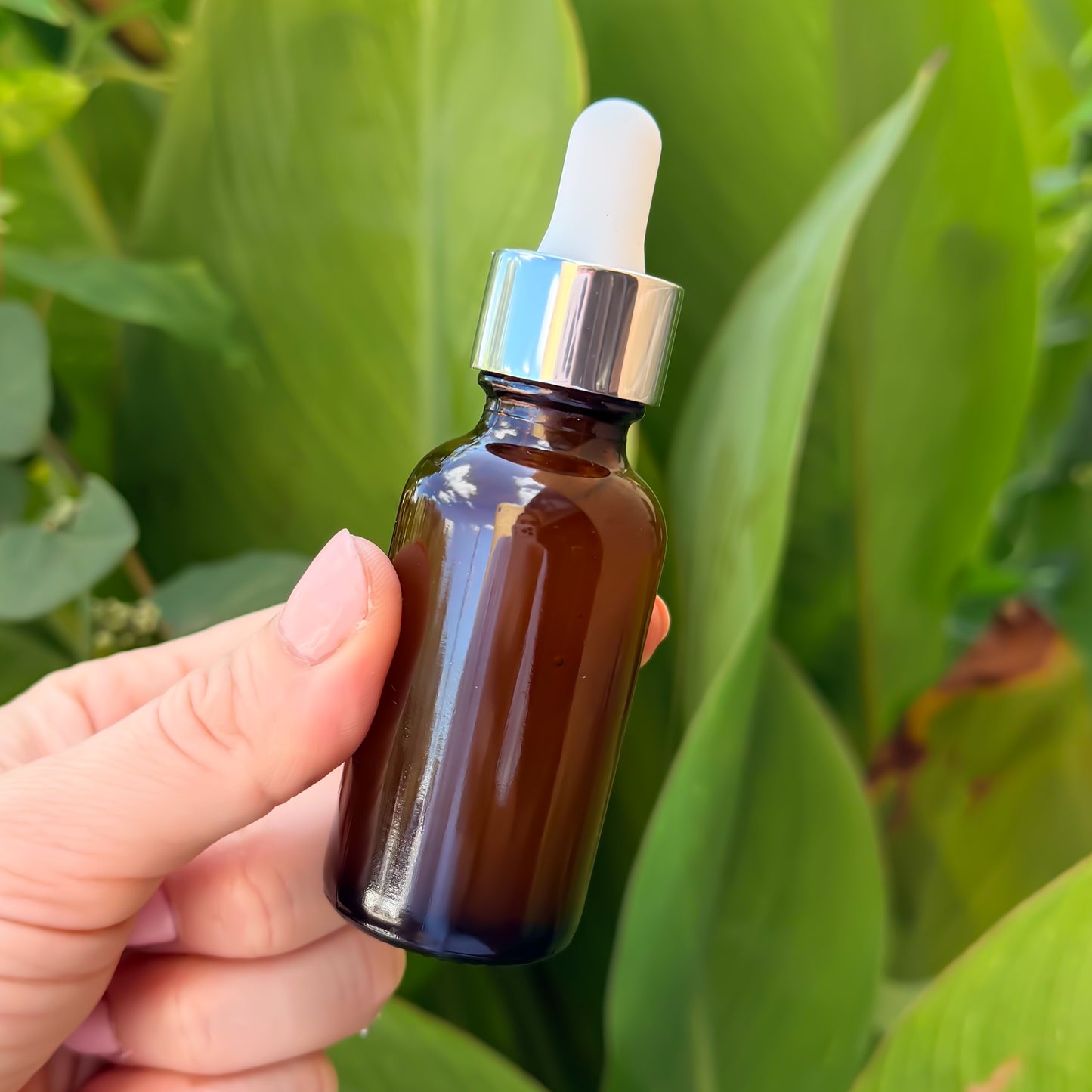 c e ferulic face serum